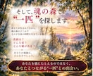 本当の自分を“あなただけの魂猫”から読み解きます 繰り返す毎日に疲れてしまっているあなたへ|癒しの鑑定 イメージ6