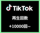 TikTok再生回数＋10000回〜増やします あなたのSNSマーケティングをお手伝い致します イメージ1