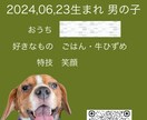 世界に一つだけの愛犬名刺、作ります 思わず配りたくなる、うちの子の特別な一枚 イメージ3