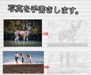 写真をイラスト化します 友人・家族様へのプレゼント等に！ イメージ1