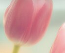 魂しいの刻印をお伝えします ご自身の本質を知ってみませんか？ イメージ4