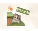 一生使える ペットのLINEスタンプを作成します 愛しのペット達のオリジナルLINEスタンプを作成します。 イメージ3