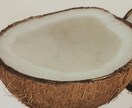ココナッツオイルの使い方やレシピなどのレアなココナッツオイル情報提供いたします。 イメージ1