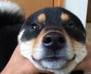 とにかく話を聞いて欲しい方！何でも話聞きます 仕事、恋愛、人生相談、転職、愚痴etc イメージ1