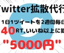 Twitterで2週間毎日40RTに拡散します ツイートを2週間毎日40RT,40いいねに拡散します イメージ1