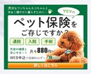 バナー・ヘッダーなどの画像制作します 修正何度でも◎一瞬で伝わるWEB画像を格安・高品質で！ イメージ9