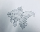 海の生き物や雰囲気をデザイン致します 海好きの海好きの為の海好きによるデザイン イメージ1
