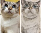 写真を元に動物の顔の似顔絵を描きます パステルアートで描くので柔らかく温かみのある似顔絵です。 イメージ4
