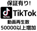 TikTokの動画再生数を増やします ＋50000回増加、アカウントの価値やイメージ向上に イメージ1