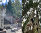 海神四柱推命/神理と慈悲で大人の戦略占います 慰めは不要。厳しい現実(神理)と次の一手(慈悲)を イメージ9
