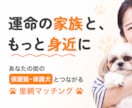 DL数を伸ばすストア画像一式制作します ｜ガイドライン準拠・iOS/Android対応 イメージ3