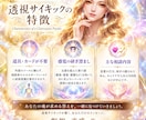 アクセスリーディング❗️未来の光を紡ぎます 動物/物/場所/人へアクセスし透視✨で伝えます✨男性購入OK イメージ6