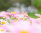 有資格☆カウンセリング 心の悩みを癒します その、苦しみや、悲しみから、導き出せる事があります。+ﾟ. イメージ2