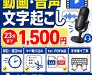 動画•音声の文字起こしを1分65円で代行します 手作業で丁寧に聞き取り入力します イメージ1