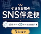 小さなお店のSNS発信を毎月伴走します 投稿テーマ30件と個別投稿4本を毎月お届け イメージ1