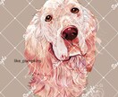 わんこの似顔絵描きます わんこのお顔から首までの似顔絵を描きます イメージ2