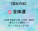 運勢鑑定♡2025年占います 全体運♡2025年を最高に楽しむアドバイス♪ イメージ2