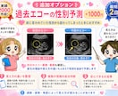 産婦人科医がエコーの性別予測と見え方を解説します 性別予測が可能か不安な方はお見積もりから無料で確認可 イメージ7