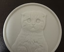 写真から作る！オリジナルゴルフマーカー制作をします 3Dプリンターで、あなただけの特別な逸品を作製いたします！ イメージ7