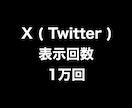 X表示回数+1万回まで拡散します ⭐️高品質⭐️表示回数を増やしたい方にオススメです！ イメージ1