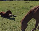 ガンや精神疾患の経験あります 白血病の治療中、コロナ禍精神疾患で休職した男が話を聞きます イメージ1