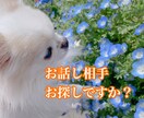こんな時だから、なんでもお話し聞きます みんな辛いよね。愚痴や不満、心配事、なんでも聞きます イメージ1