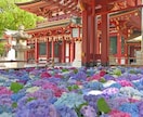 本気✳️カルマ浄化＆結界封印セッションします 高次元解放セッション｜結界・封印解除・波動修正を一括施術 イメージ4