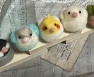 小鳥好きな方に喜ばれます 羊毛フェルトでかわいい小鳥さんグッズ制作します イメージ3