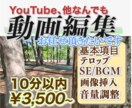 動画編集をご依頼を賜ります あなたの動画をより良くしたい、それ一心で参ります イメージ1