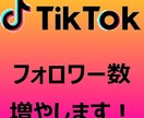 Tik Tokフォロワーさん増やします 高品質★tiktokフォロワー+1000人～★減少ほぼなし！ イメージ1