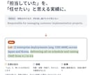 外資IT採用責任者が英文レジュメを添削します ⭐️先着５名限定価格  特に外資IT ポストセールス職向け イメージ5