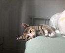 上手くいかない人生を爆的に変える人生相談のります 人生上手くいかない？理由しりたいですか？ イメージ5