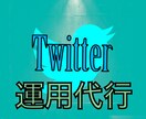 Twitter運用【中小企業向け】（1ヶ月）ます ファンを獲得しSNSマーケットをフル活用しましょう！ イメージ1