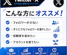 X・旧Twitterの外国人フォロワーを増加します 低価格でXフォロワー1000増加！ イメージ2