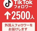 2500TikTokフォロワー増えるまで拡散します 【格安・即日対応】｜海外アカウント｜バレずに見た目UP イメージ1