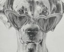 愛猫・愛犬の似顔絵をリアルタッチで描きます 写真から、毛並みと瞳の表情まで丁寧に描き起こします イメージ2