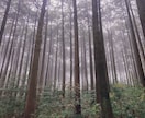100%あなたを肯定して話を聞きます 悩み苦しみ不安生きづらさ抱えてる事全て吐き出しませんか？ イメージ6