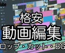 YouTube動画編集を2本3000円で代行します 簡単なテロップ挿入、カット、BGMのみ イメージ1
