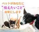 あなたの愛するペットさんの気持ちをお伝えします 最愛のペットさんの気持ちと絆を深めるアドバイスをお届けします イメージ1