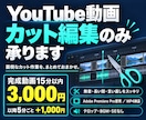 YouTube動画のカット編集を代行します 無音・言い直し・長い間をまとめてカット イメージ1