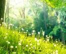 貴方の【生まれ持った本質、使命 役割】を鑑定します 本質や使命を紐解く事でし、より生きやすい人生に✧*｡ イメージ7