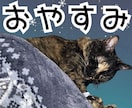 あなたのペットの写真でLINEスタンプ作ります 送っていただいた日常の写真をもとに12個制作！ イメージ3