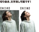 画像加工、切り抜き、合成お受けします なんでもお気軽にご相談ください！ イメージ3