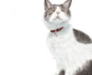 柔らかいタッチでペットのイラストを描きます 大切な家族の一員をイラストにしてみませんか？ イメージ7