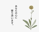 人間関係の悩み解消、自己反映の電話相談致します 自分を知ることで人間関係が変わります。 イメージ5