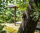 無価値感/生きる価値なし/仕組みを翻訳し伴走します そのままの私を無条件に愛して欲しかった/複雑な心を紐解く イメージ4