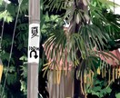 最短納期1週間！イラストお描きします 1枚絵、立ち絵など様々なイラストをお描き致します イメージ4