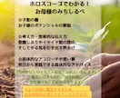 星読みでお子様の才能の種・考え方の傾向鑑定します ​【お試し価格】星占いで見る我が子の才能の種の芽吹かせ方 イメージ2