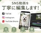SNSショート動画を編集します SNS動画を丁寧・迅速に編集します イメージ1