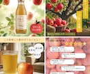 高級感で魅せる、成果の出る商品画像を制作します 先着３名様限定！お早めにどうぞ！ イメージ3